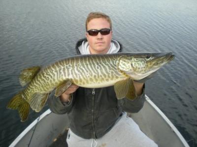 Muskie fishing tackle, lures and musky fishing baits from Tyrant